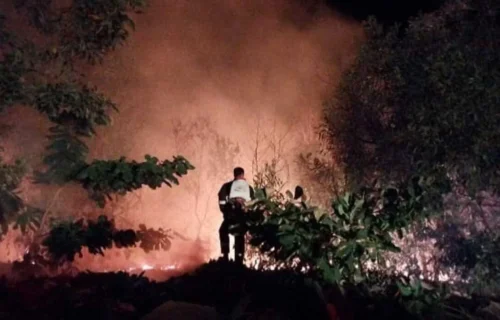 Update Karhutla 2026: 72.009 Hektare Lahan Gambut di 6 Provinsi Hangus, 138 Tersangka Dibekuk
